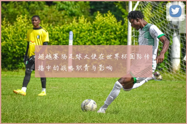 超越赛场足球大使在世界杯国际传播中的战略职责与影响