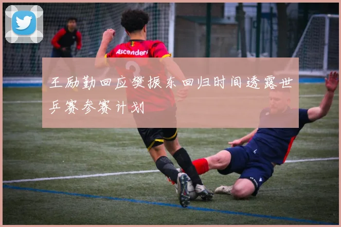 王励勤回应樊振东回归时间透露世乒赛参赛计划